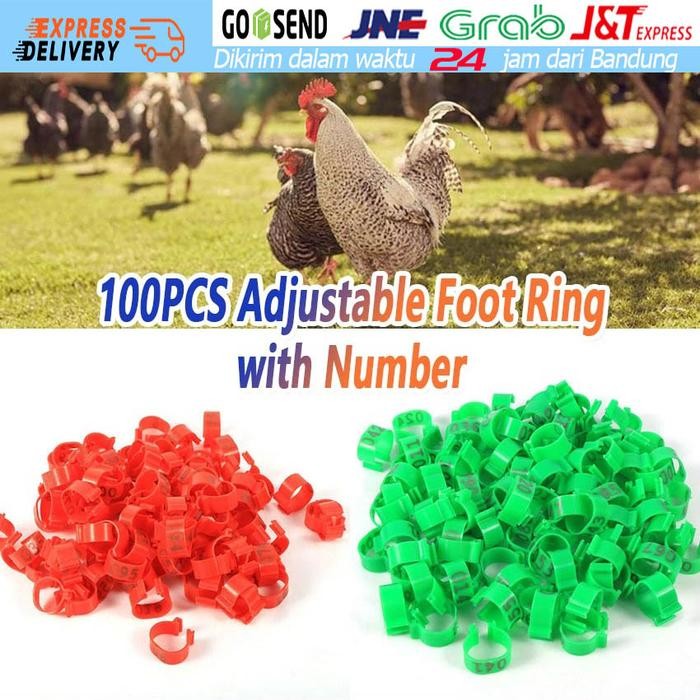Gelang Kaki Ayam Ring Kaki Ayam Gelang Jepit Kaki Ayam Dengan Nomor