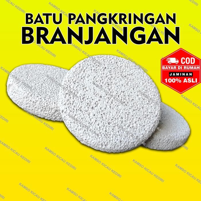 READY BATU APUNG batu apung pangkringan branjangan