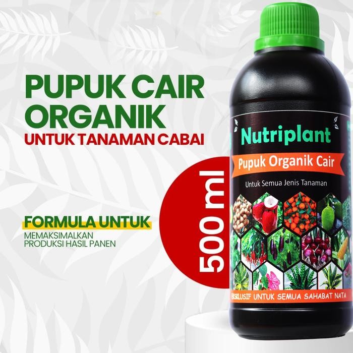 Pupuk Organik Cair Cabai Nutrisi Tanaman cabai Pupuk Organik Cair Cabai Rawit Kode 1209