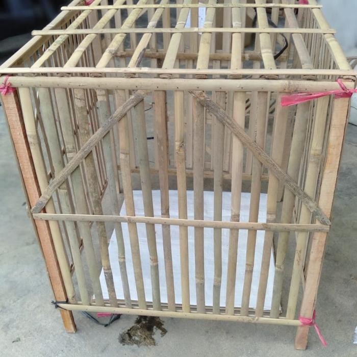 Kandang Ayam Bambu / Kandang Rakit Bambu Segiempat Kotak ald