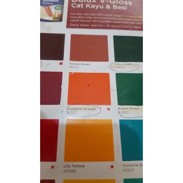 TERLARIS! Dulux V-gloss cat kayu dan besi Pumpkin Orange