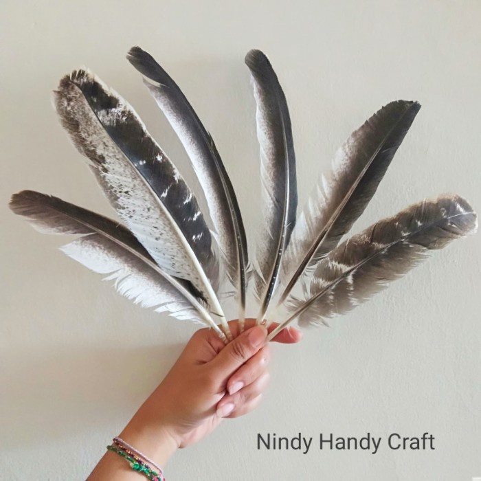 Bulu kalkun 30cm isi 12 - bulu ayam kalkun