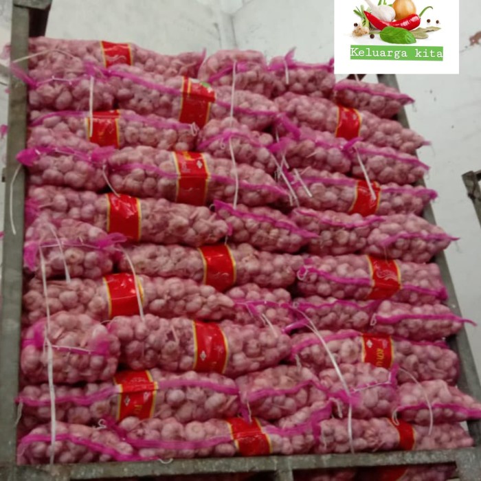 

Diskon Bawang Putih Henan / Honan / Banci / Bawang Putih Import 1Karung Ready