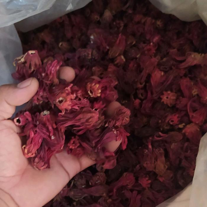 

terbaru !!! bunga rosella merah kering 1kg kwalitas bagus ready