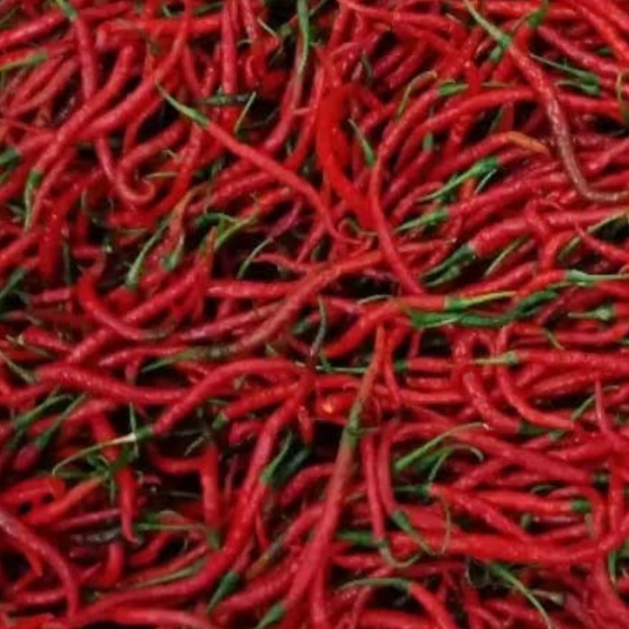 

cabe merah keriting 250gram