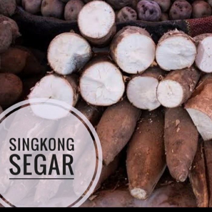 

SINGKONG SEGAR1kg