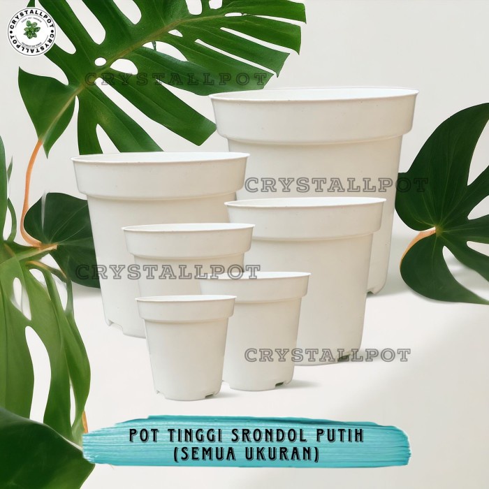 POT BUNGA TANAMAN PLASTIK TINGGI SRONDOL POLOS PUTIH - SRONDOL POLOS