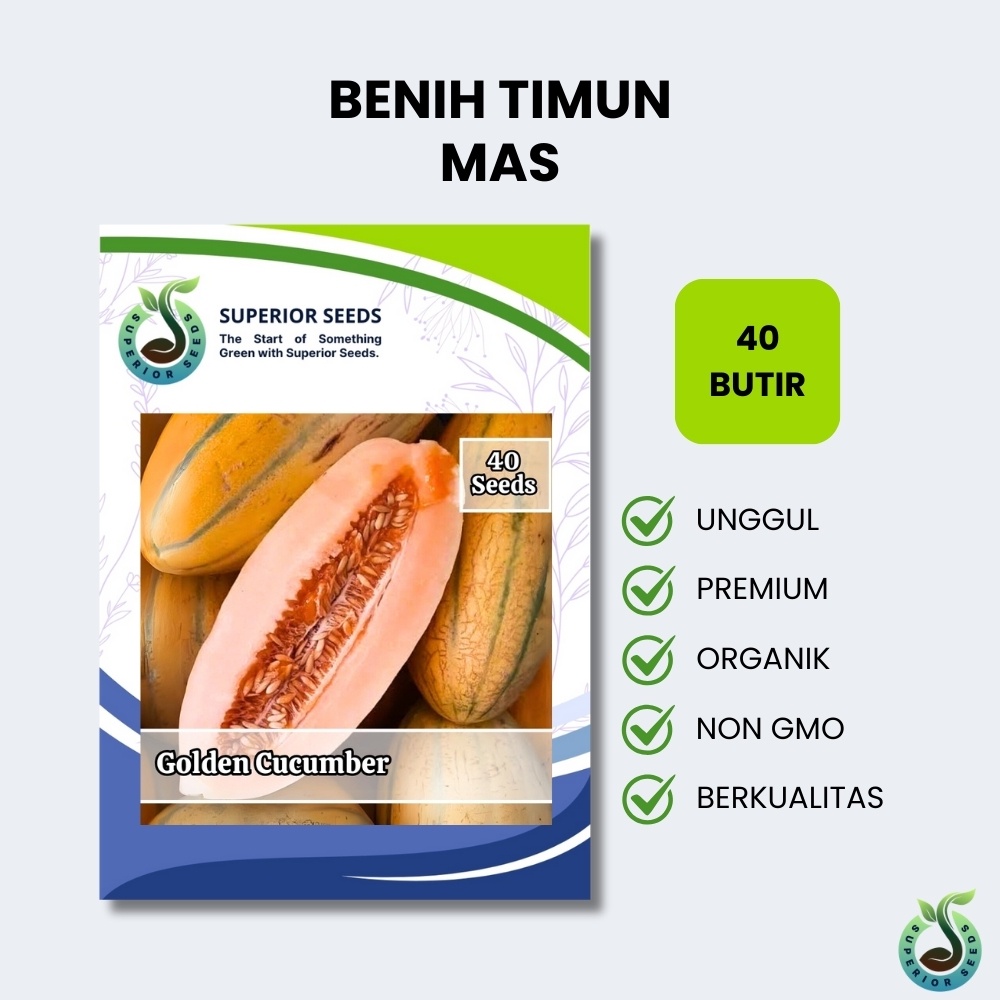 Biji Benih Timun Mas (Superior Seeds)