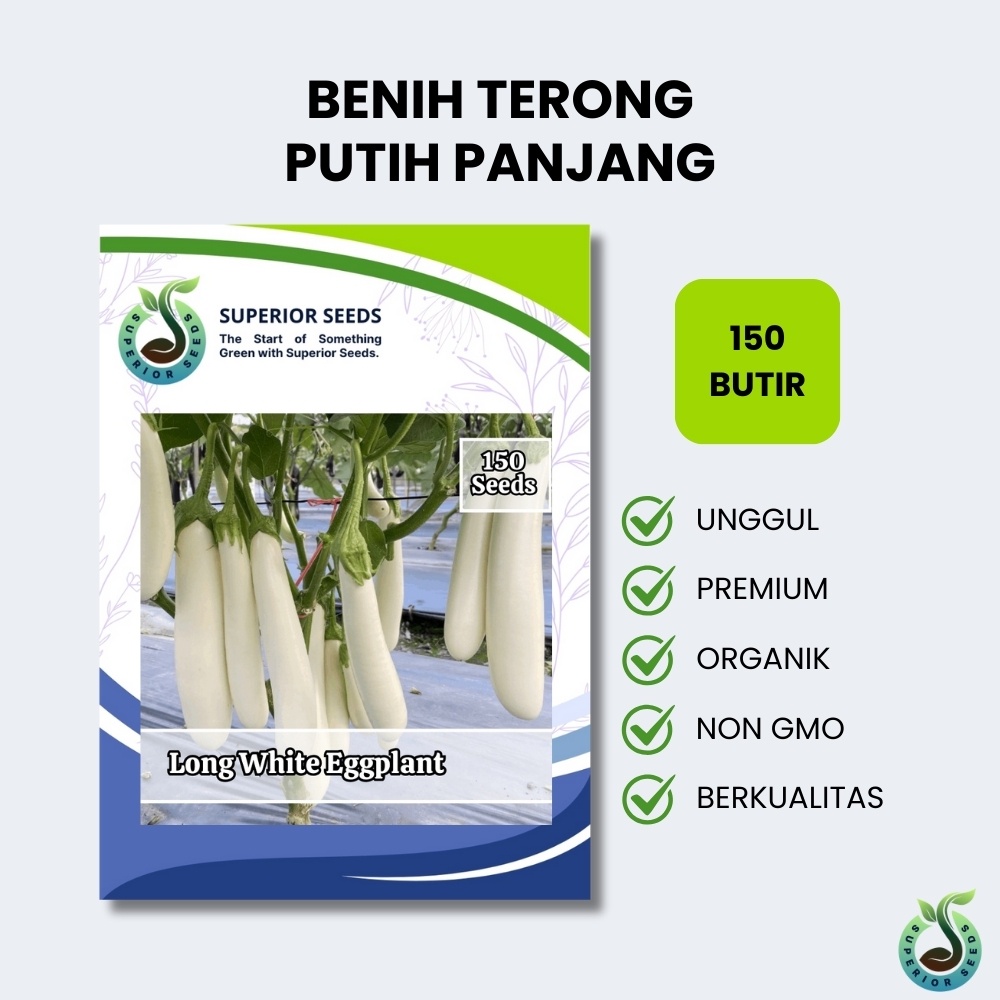 Biji Benih Terong Putih Panjang F1 Besar, Manis & Hasil Panen Melimpah (Superior Seeds)