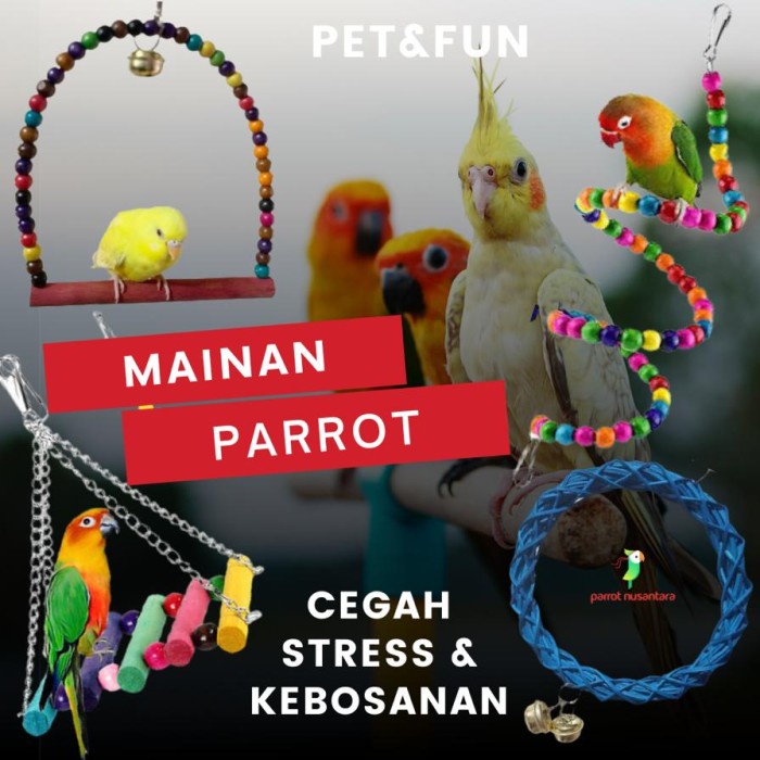 MAINAN HEWAN PELIHARAAN PET TOY BURUNG PARROT SG