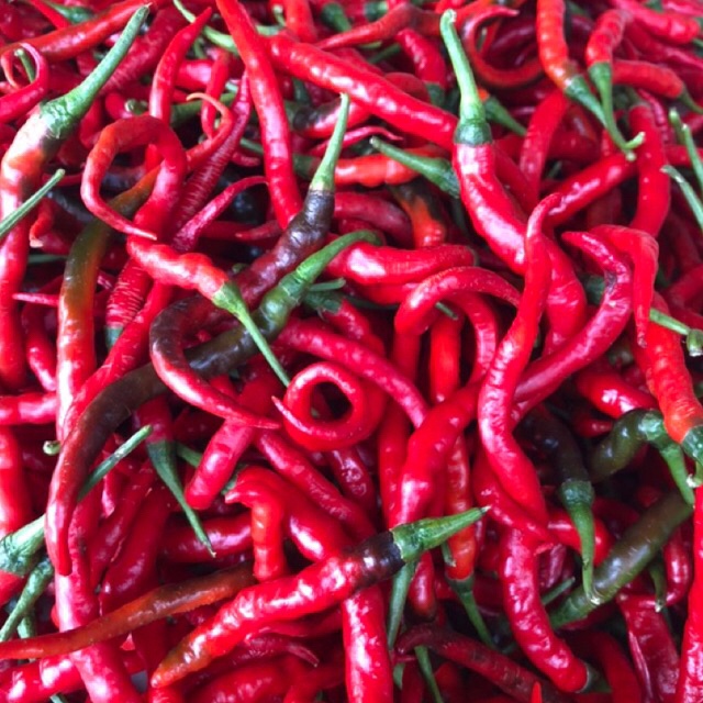 

Cabe/Cabai Merah Keriting Fress Berat 500Gram Termurah