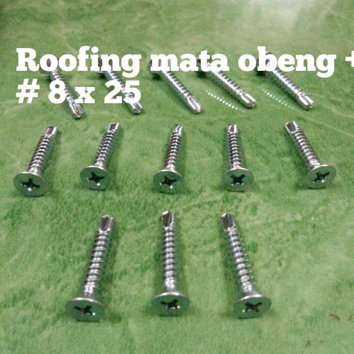 BAUT ROOFING SCREW BAJA RINGAN # 8 x 19 (kepala mata obeng + ) SDS