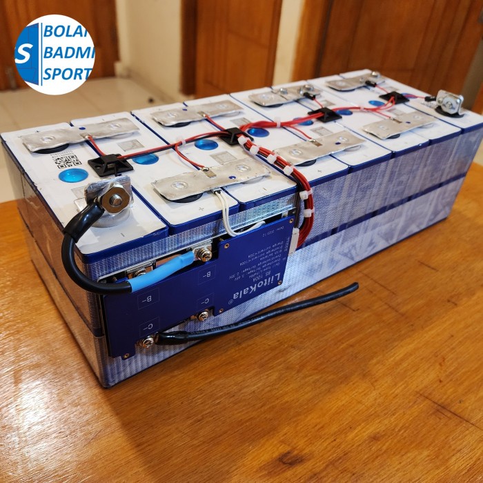 BATTERY LIFEPO4 24V 100AH DENGAN BMS 100A