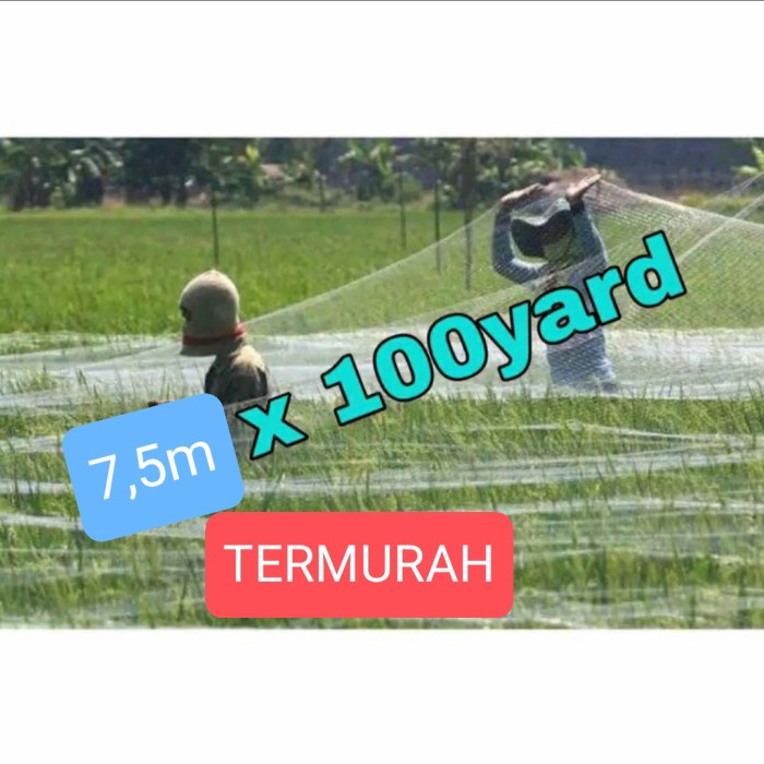 PREMIUM Jaring burung sawah lebar 7,5m panjang 100yds jaring burung padi