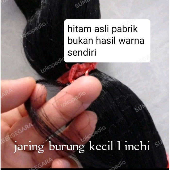 PREMIUM jaring burung kecil 1 inch/1 jari panjang 100yds jaring perangkap