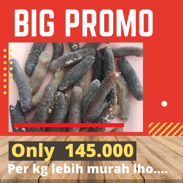 

BARANG TERLARIS TERIPANG GOSOK KERING HAISIM HAISOM. ISI 17-27 PCS HARGA PROMO 125gr
