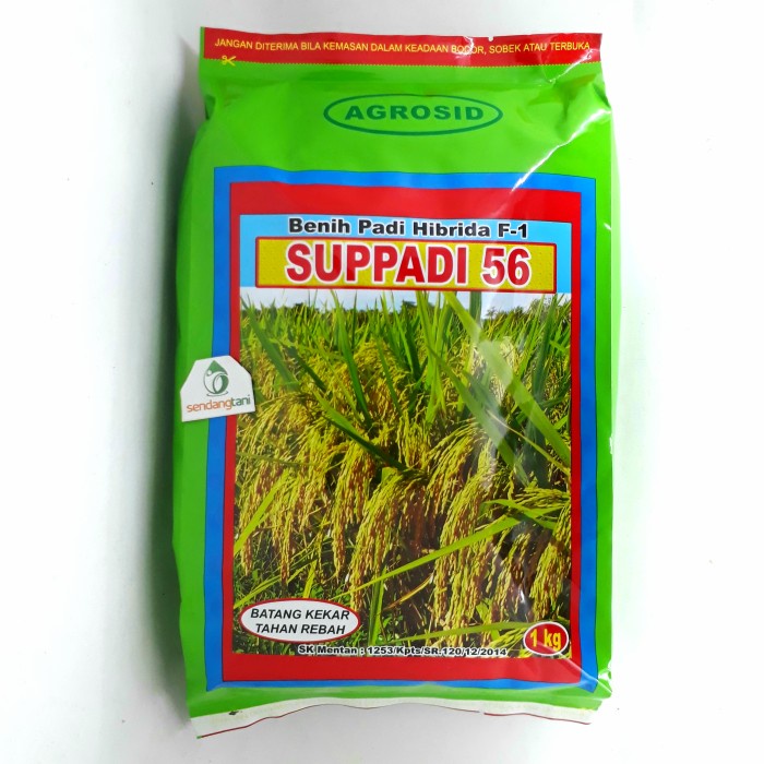 JTTOP" BENIH PADI HIBRIDA SUPADI SUPPADI 56