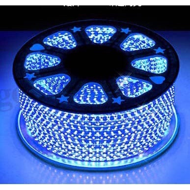 Lampu LED STRIP 5050 60LED AC 220 CALTE @100METER