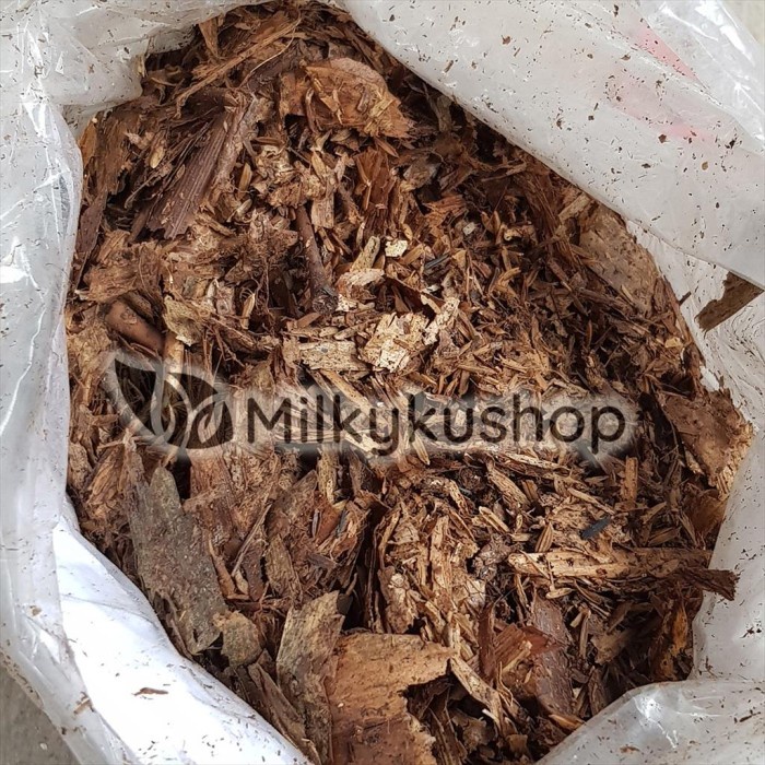 READY PUPUK KOMPOS HUMUS DAUN BAMBU AGLONEMA MEDIA TANAM KEMASAN PABRIK