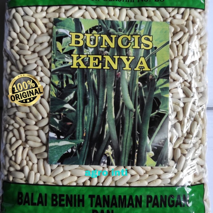 New Benih Buncis Baby Kenya Buncis Prancis Isi 1 Kg Ready