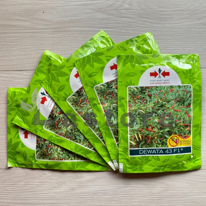 New Benih Cabai Cabe Setan Dewata 43 F1 2250 Butir Cap Panah Merah Ready