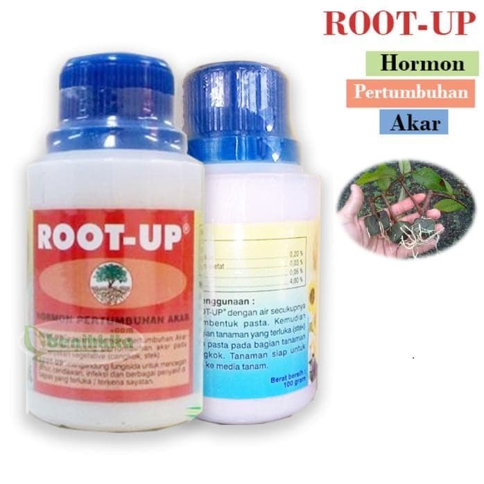 Hormon Root Up Root-Up Zpt Hormon Pertumbuhan Akar 100 Gram