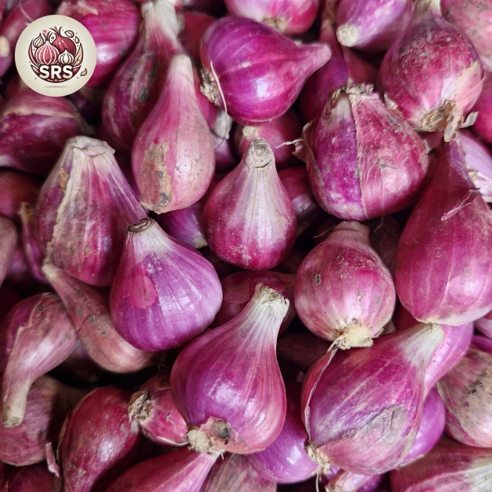 

Sale! Bawang Merah Brebes Super 1Kg