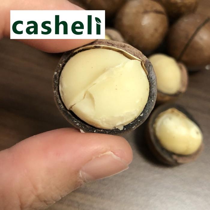 

SALE !!! CASHELI ROASTED MACADAMIA NUTS KACANG MILKY FLAVOR CAMILAN RASA SUSU FOOD SNACK SNACKS