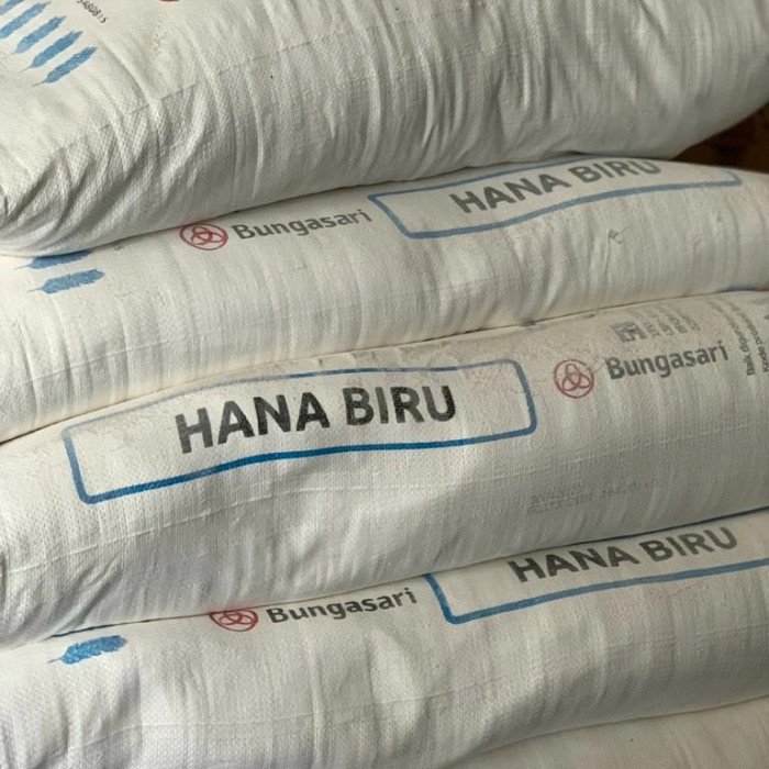 

SALE !!! TEPUNG TERIGU HANA BIRU 15KG PROTEIN RENDAH READYY