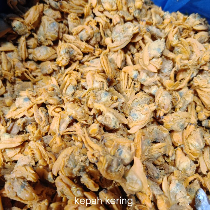 

SALE !!! KEPAH KERING MEDAN 500GRAM READYY