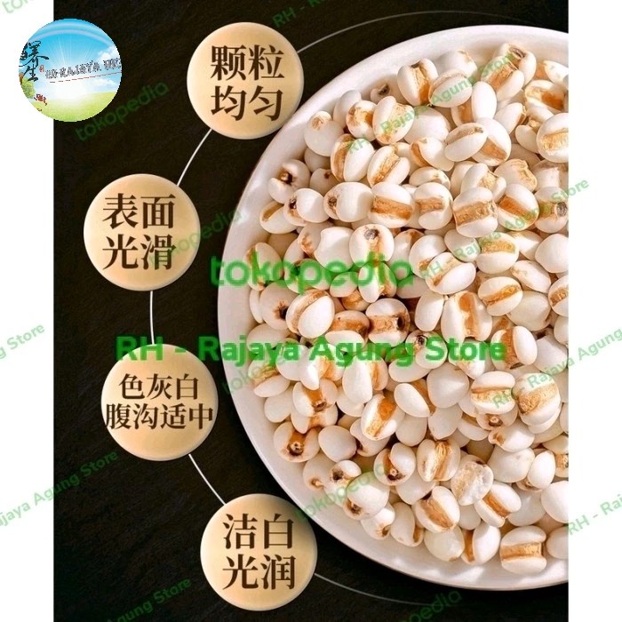 

SALE !!! 500 GRAM COIX LACRYMA SEEDS IE YIN REN BERAS JALI JALI ORGANIK READYY