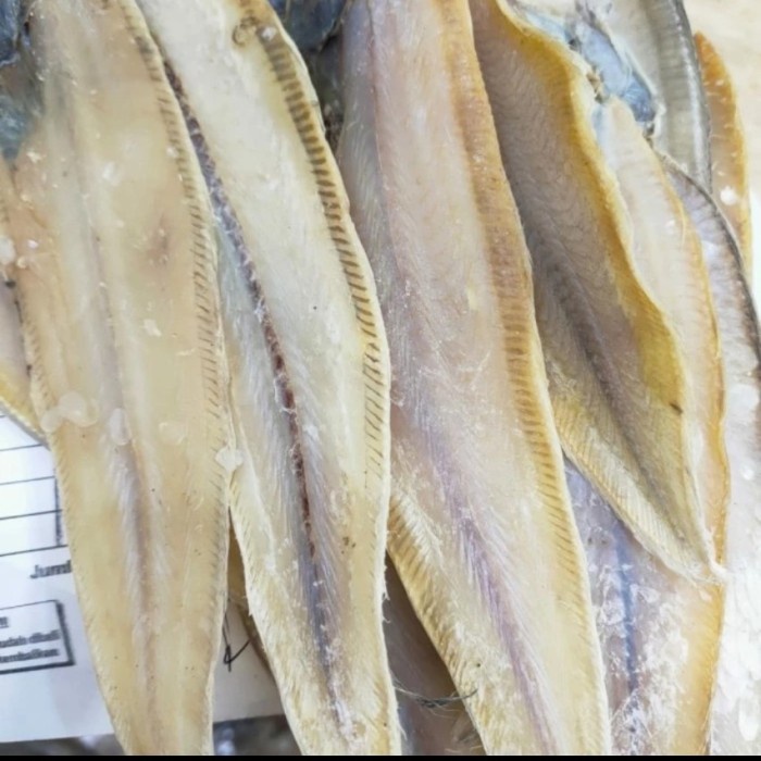 

SALE !!! IKAN ASIN LIDAH MENTAH / IKAN LIDAH / IKAN SEBELAH KHAS MEDAN 500GRAM READYY