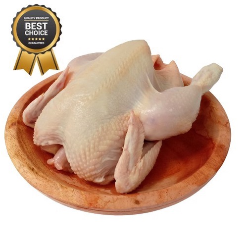 

SALE TERBARU AYAM NEGERI UTUH 900 GRAM - POTONG 12 READYY