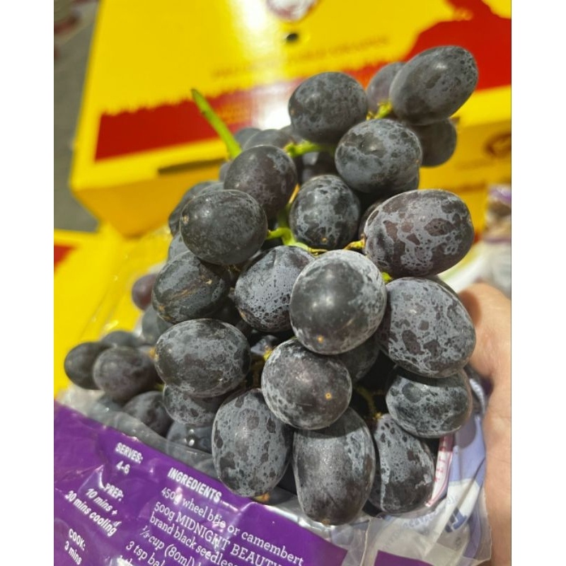 

ANGGUR BLACK ADORA AUSTRALIA MANIS