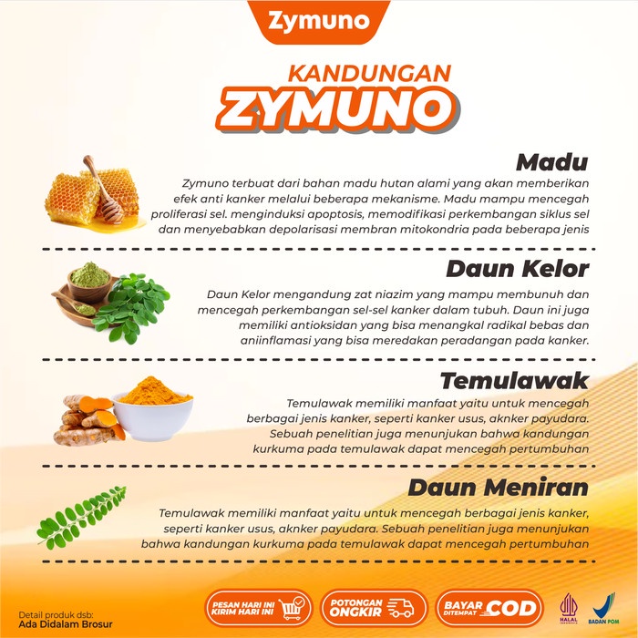 

BARANG TERLARIS Zymuno Madu Herbal Solusi Perlindungan Ganda untuk Imunoterapi Kanker & Imunitas