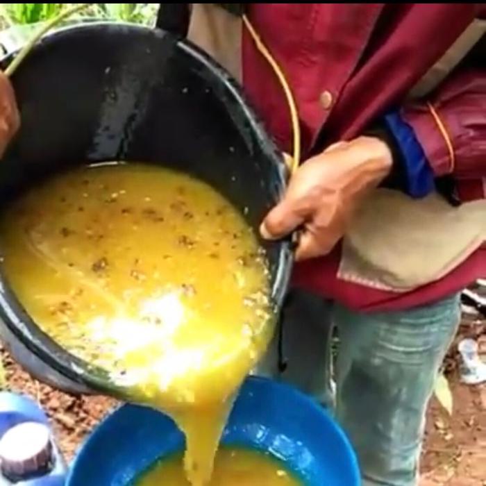 

BARANG TERLARIS Madu kaliandra asli murni 1kg Honey Alami