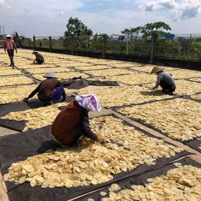 

EMPING MELINJO SUPER / EMPING SUPER TIPIS /High Quality/Kemasan 1 KG/Asli Limpung/Harga emping Snack