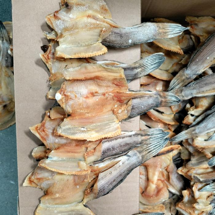 

SALE !!! IKAN ASIN GABUS TOMAN ASLI KALIMANTAN KUALITAS PREMIUM SEAFOOD READYY