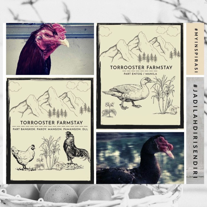 Cuci Gudang Grosiran Pur Starter 511. Br21E 1Bal / Bal Pakan Ternak