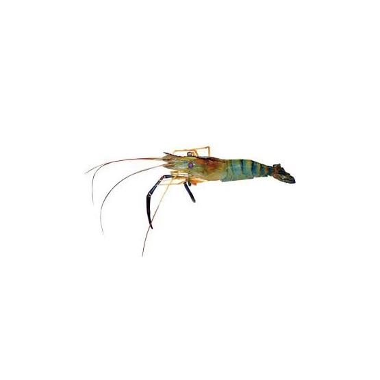 

Udang Galah Segar - 250 Gram (Bibik Sayur)