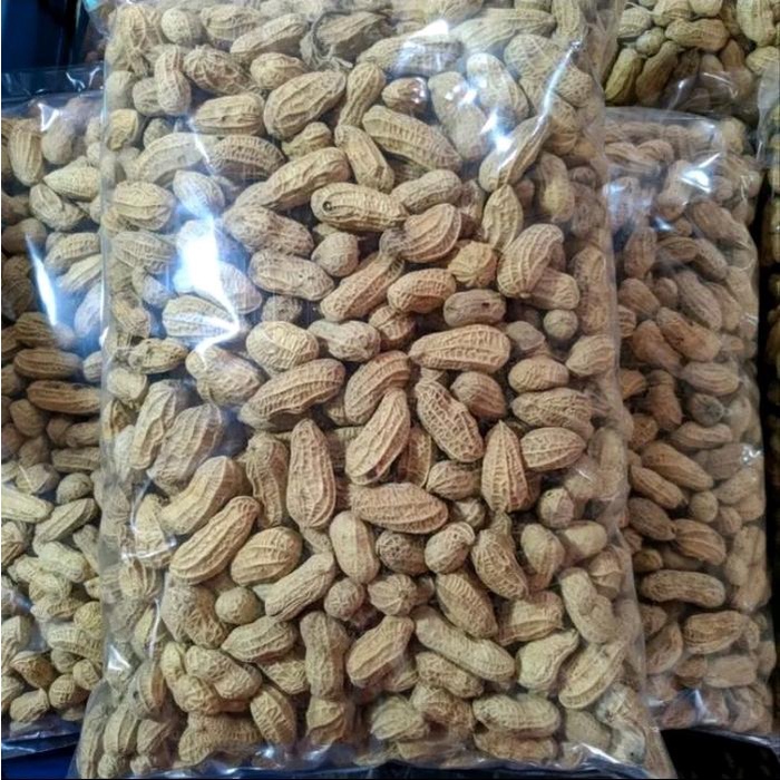 

Kacang Kulit Sangrai PEKALONGAN 1KG
