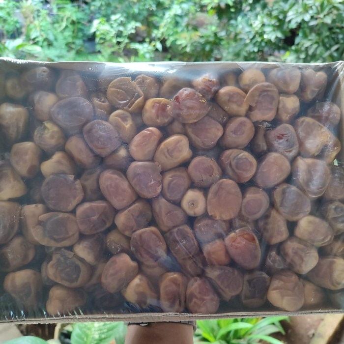 

Terbaru Laris! Kurma Sukari 3Kg Castle Farms Organik Al QasimKorma Sukkari Murah