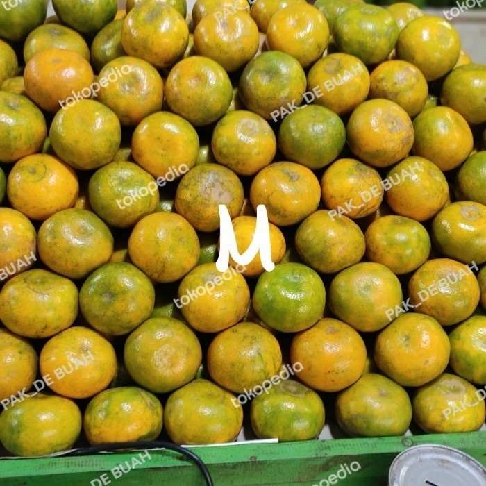 

HJK JERUK MEDAN SUPER / BRASTAGI, MANIS / 1 kg