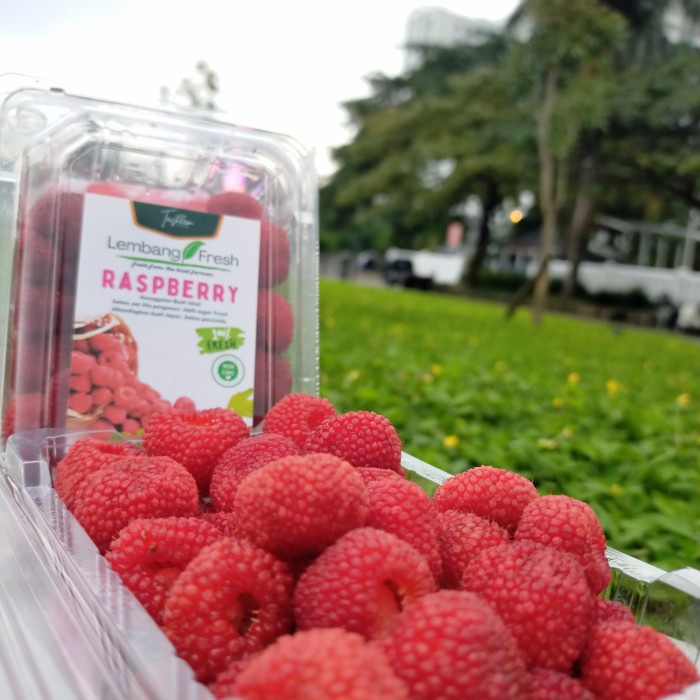 

HJK Red Raspberry Buah Segar Berry Grade A Lembang Fresh Bandung seed