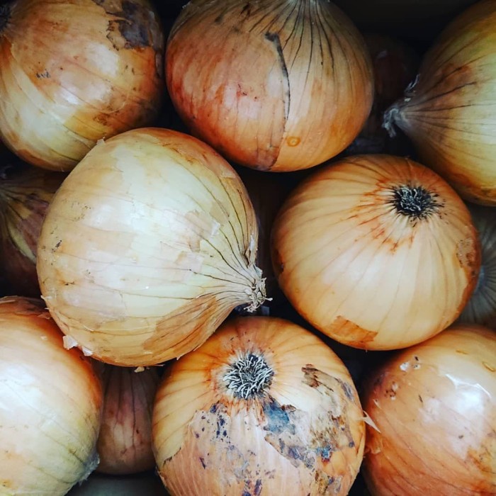 

HJK Bawang Bombay Segar