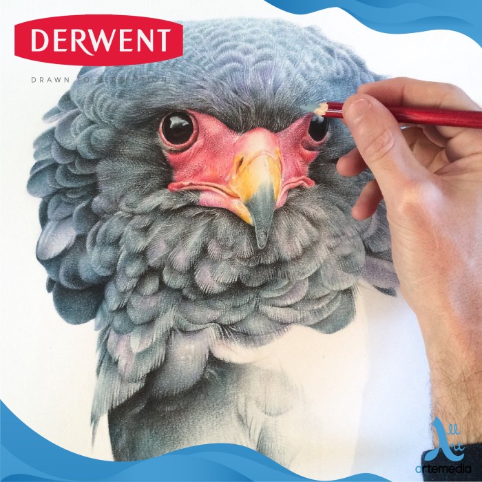 

PENSIL WARNA DERWENT PASTEL SKINTONE 12 PENCIL COLOR METAL TIN SET