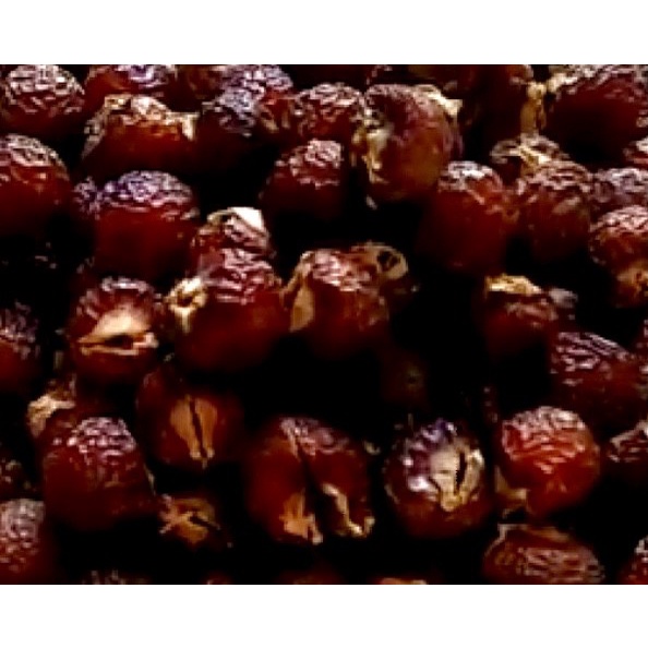 

Lerak Non Biji 1 Kg