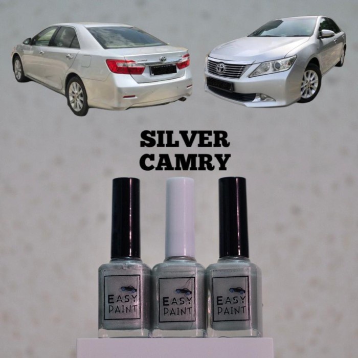 Cat Oles Toyota Camry Silver Metallic