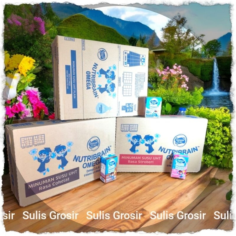 

Frisian Flag Susu Uht Nutribrain 115ml karton Bisa Mix Rasa