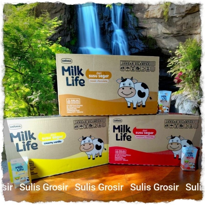

Milk Life Susu UHT 1 Dus 115ml x 40 pcs Bisa Mix Rasa